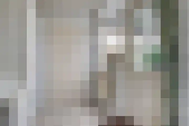 Remmelinge 20 Tuk thumbnail 16