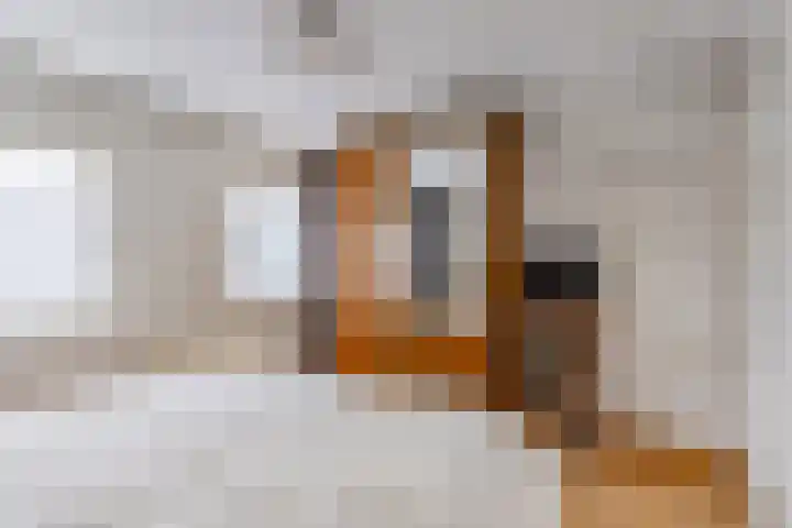 Remmelinge 20 Tuk thumbnail 19