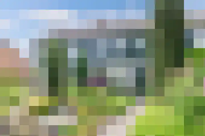 Remmelinge 20 Tuk foto 2