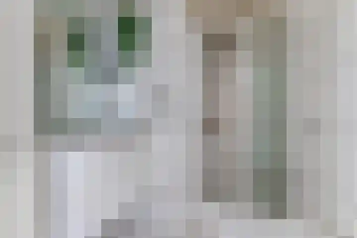 Remmelinge 20 Tuk thumbnail 21