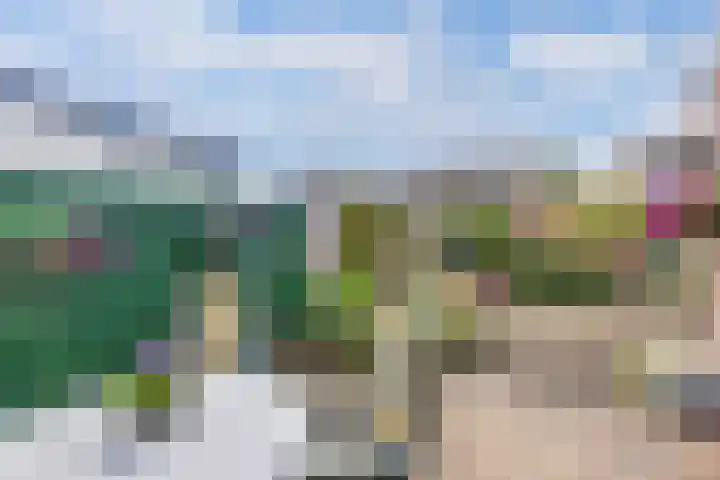 Remmelinge 20 Tuk thumbnail 29