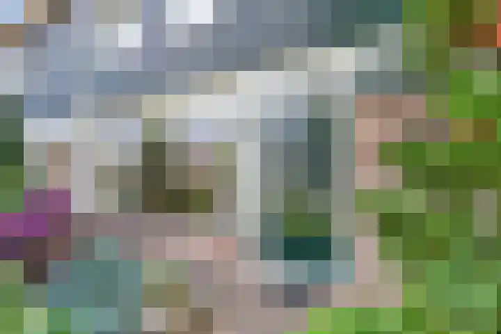 Remmelinge 20 Tuk foto 3