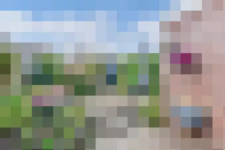 Remmelinge 20 Tuk thumbnail 30