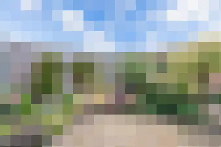 Remmelinge 20 Tuk thumbnail 31