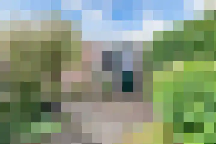 Remmelinge 20 Tuk thumbnail 32