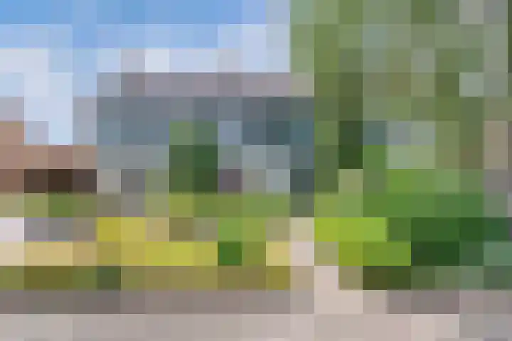 Remmelinge 20 Tuk thumbnail 38