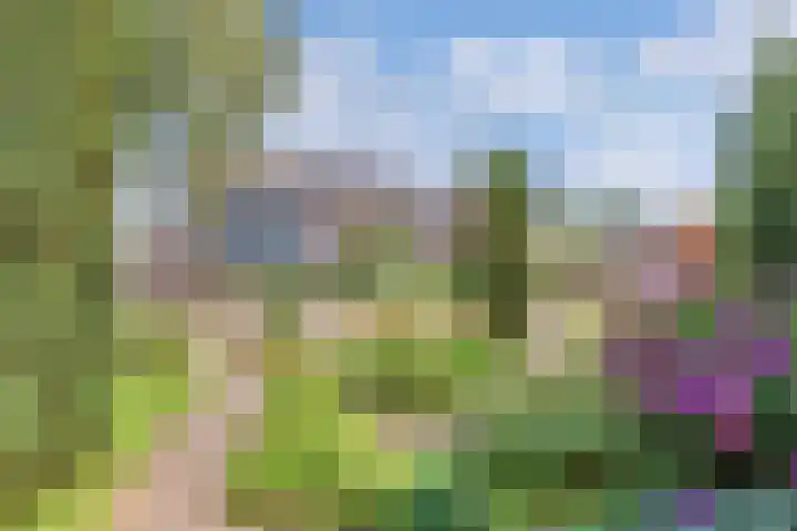 Remmelinge 20 Tuk thumbnail 39