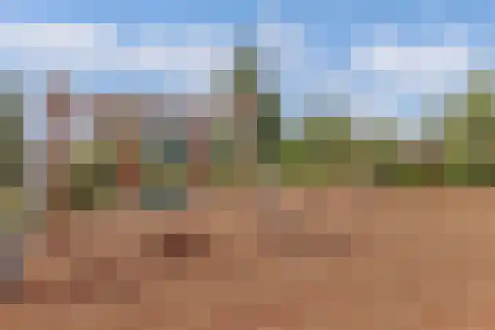Remmelinge 20 Tuk thumbnail 40