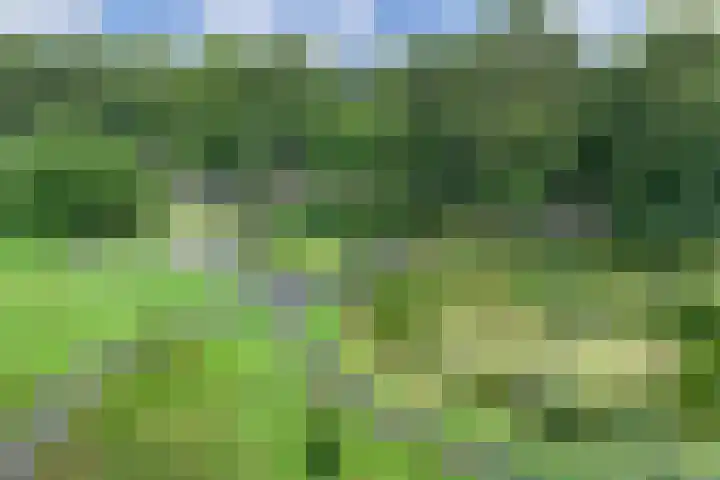 Remmelinge 20 Tuk thumbnail 41