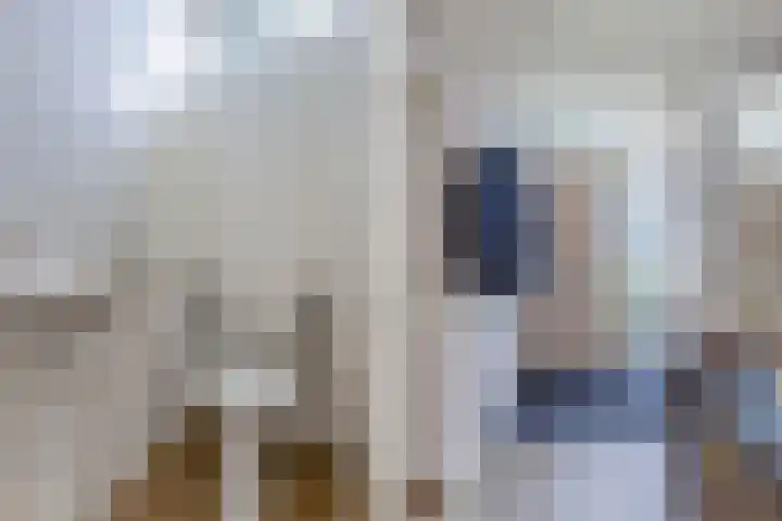 Remmelinge 20 Tuk thumbnail 5