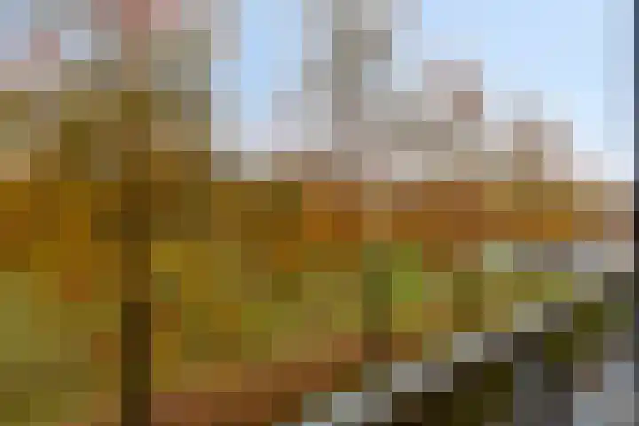 Remmensberg 9 Sint Anthonis thumbnail 16