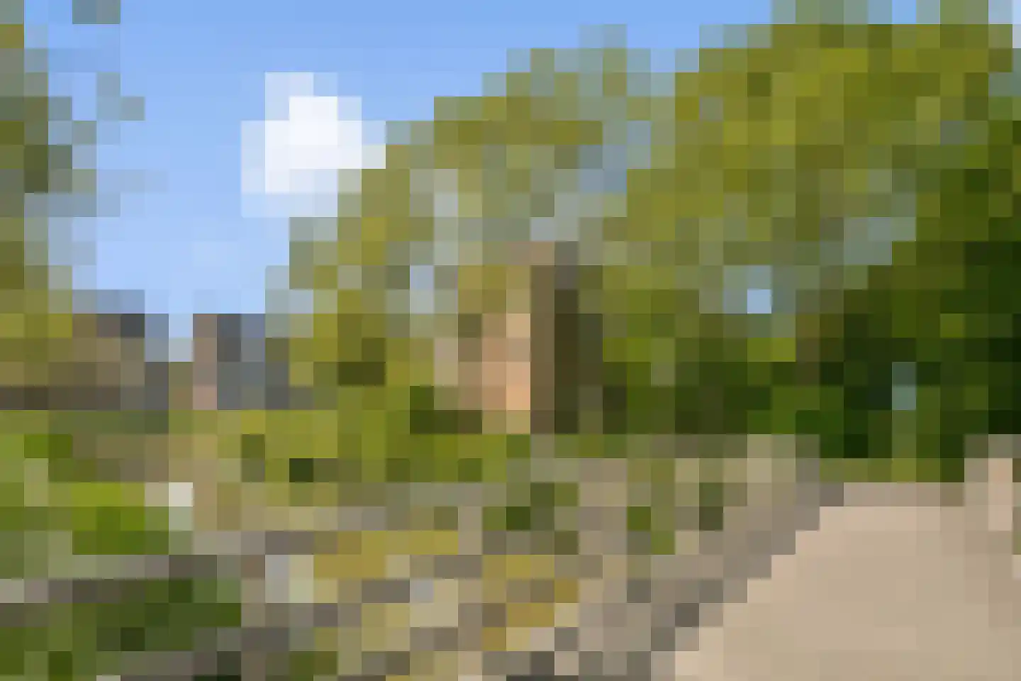 Remmerdenplein 3 Amsterdam thumbnail 26