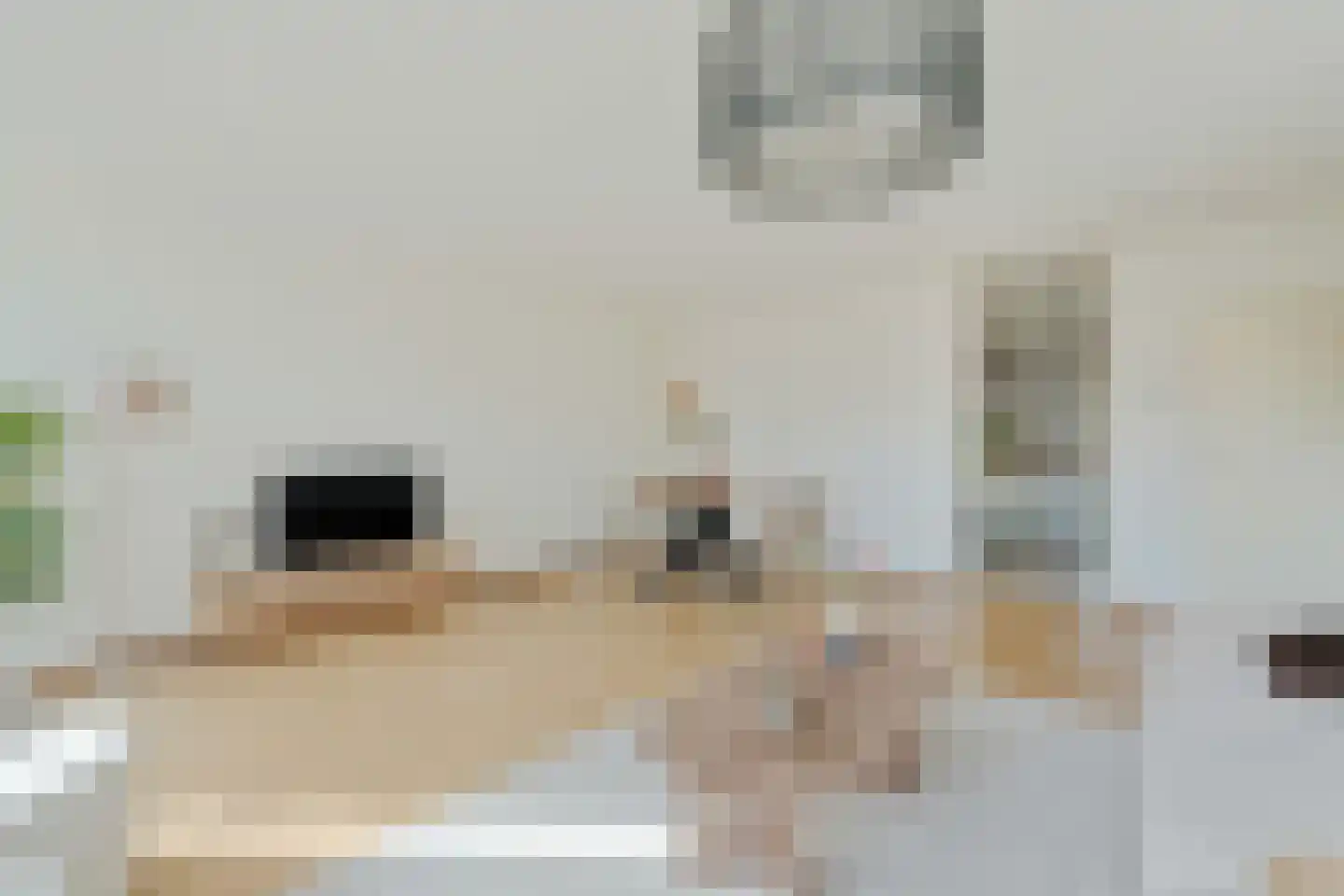 Remmerdenplein 45 Amsterdam thumbnail 32