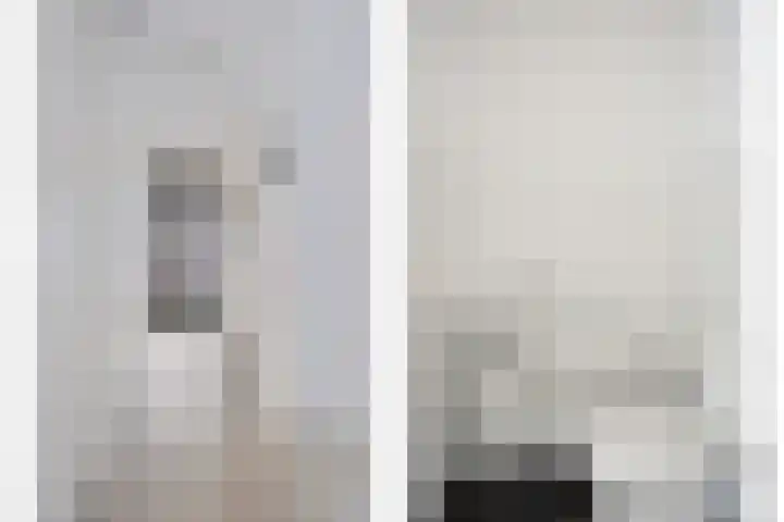 Remmerstein 1 Vleuten thumbnail 11
