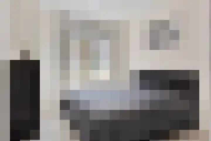 Remmerstein 1 Vleuten thumbnail 12