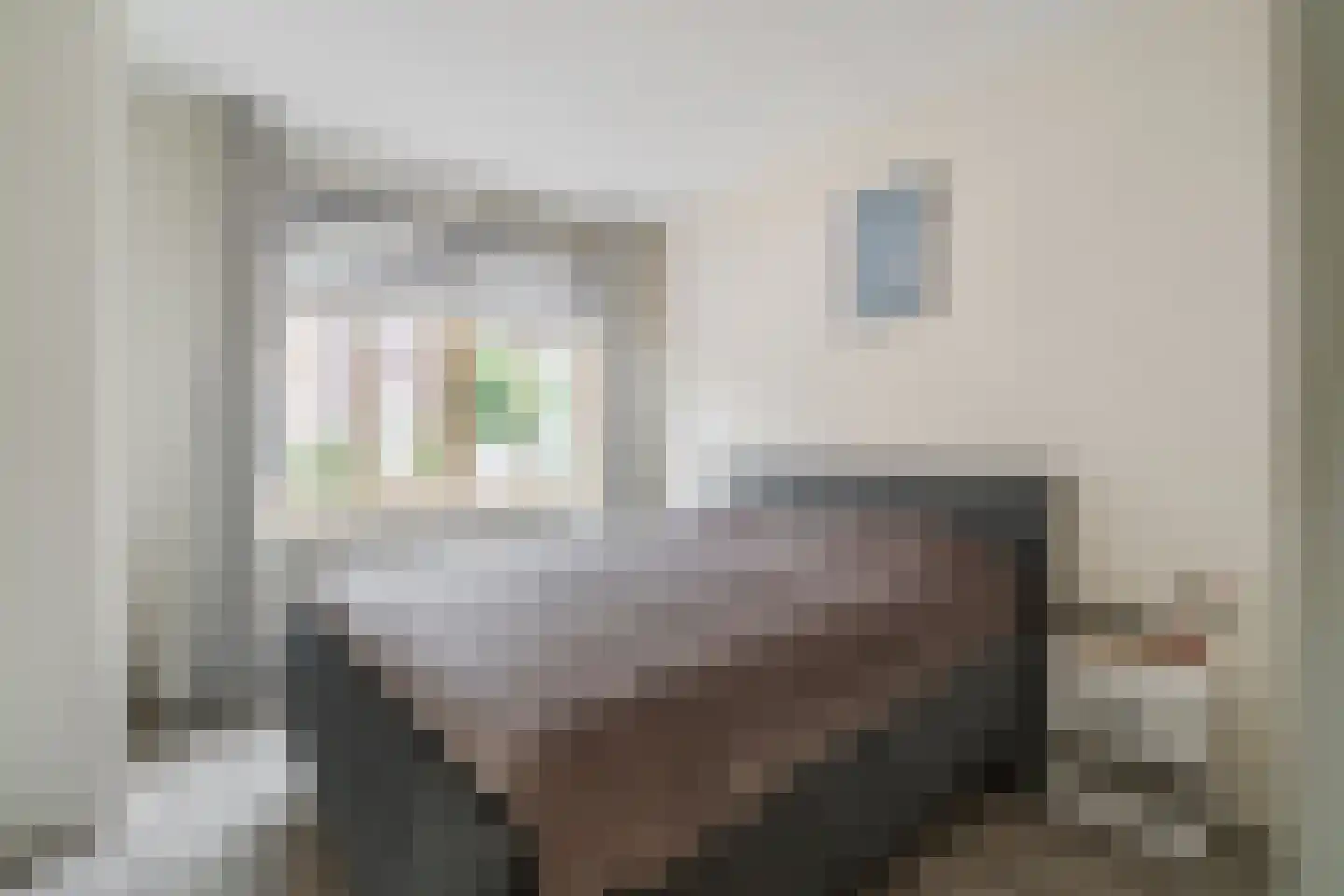 Remmerstein 1 Vleuten thumbnail 12