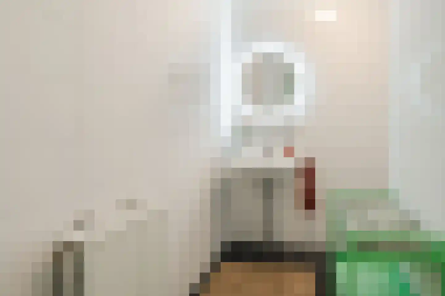 Remmerstein 1 Vleuten thumbnail 13