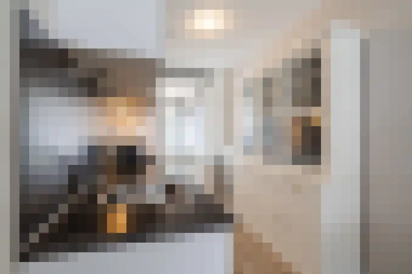 Remmerstein 1 Vleuten thumbnail 14