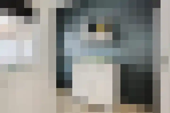 Remmerstein 1 Vleuten thumbnail 14