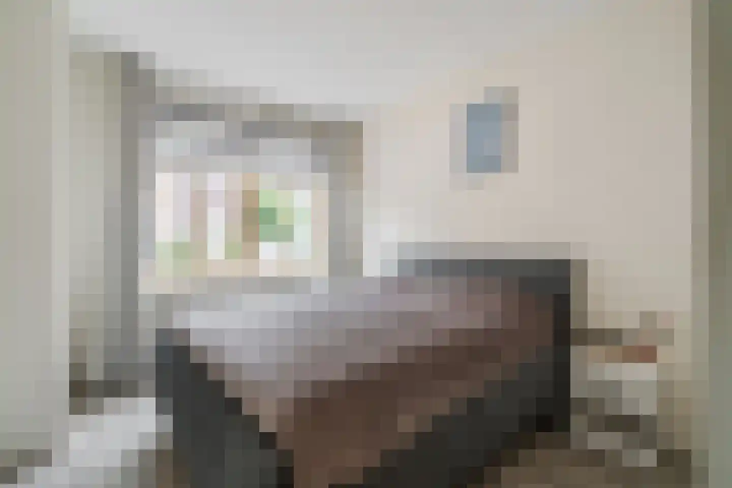 Remmerstein 1 Vleuten thumbnail 15