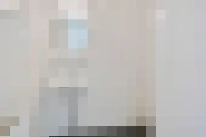 Remmerstein 1 Vleuten thumbnail 16