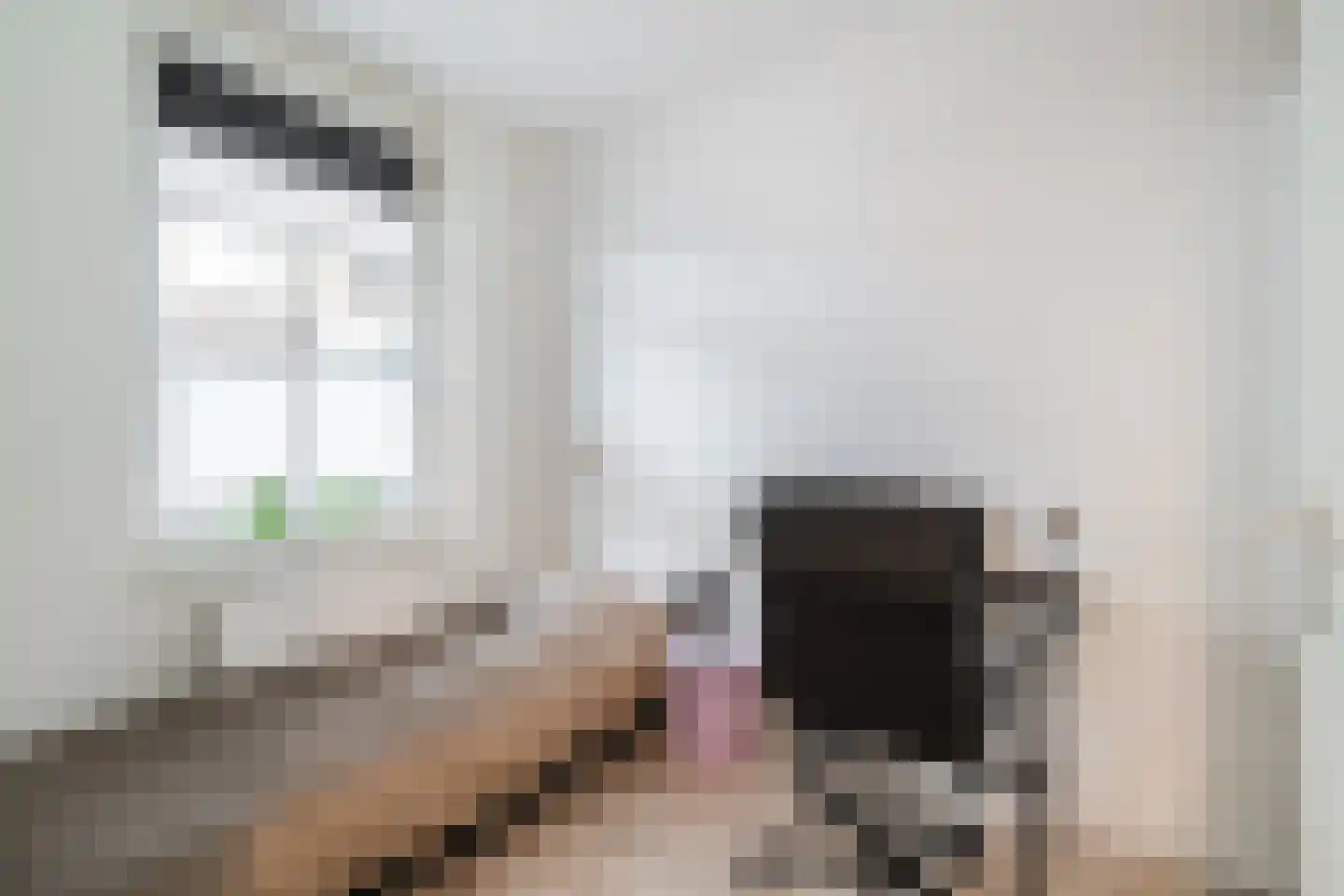 Remmerstein 1 Vleuten thumbnail 17
