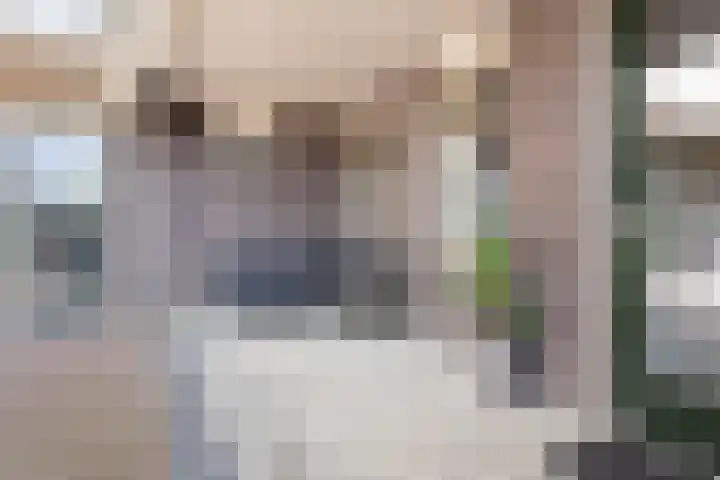 Remmerstein 1 Vleuten thumbnail 18