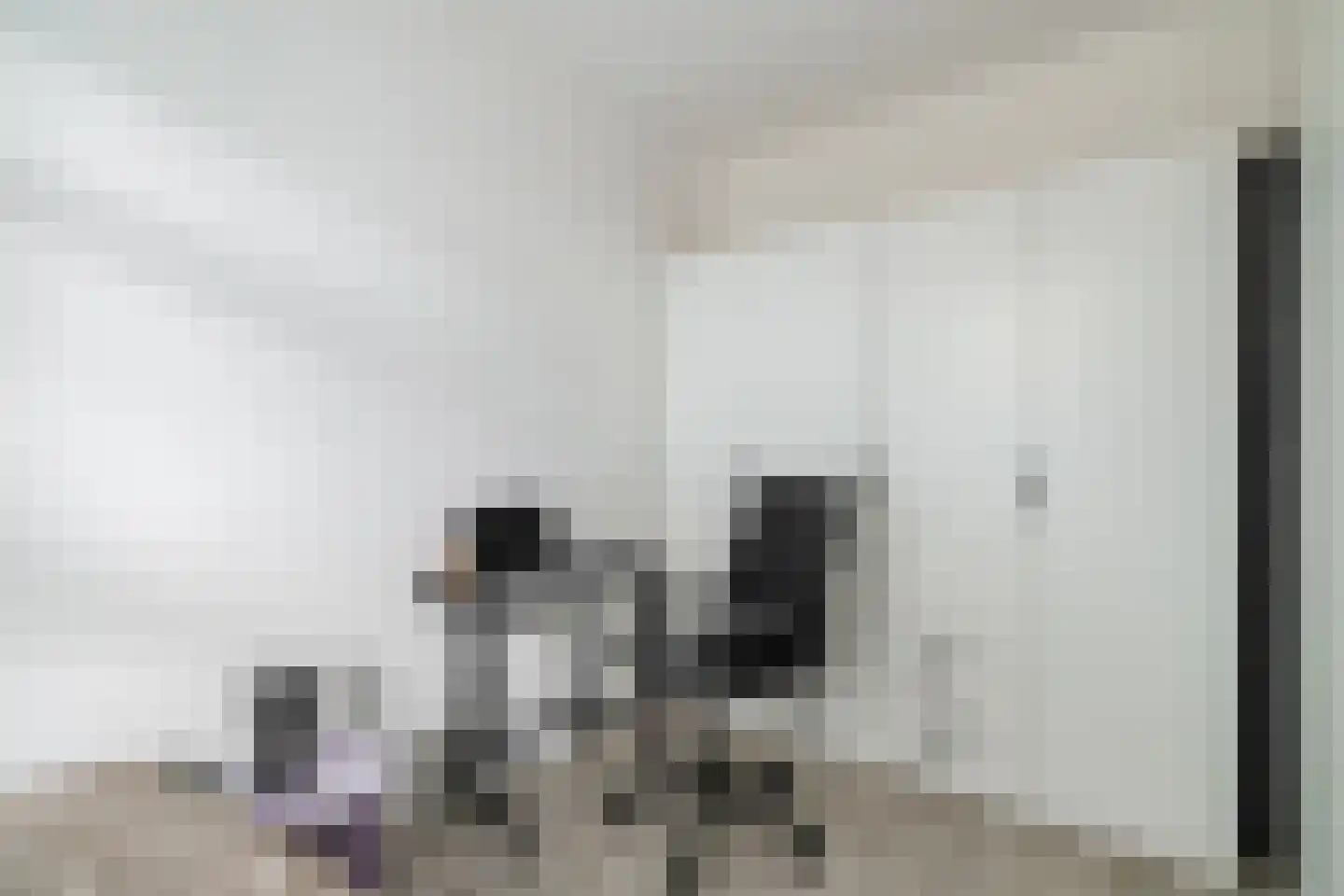 Remmerstein 1 Vleuten thumbnail 18