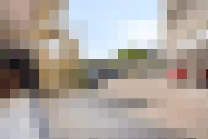 Remmerstein 1 Vleuten thumbnail 19