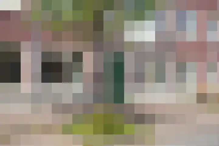 Remmerstein 1 Vleuten thumbnail 24