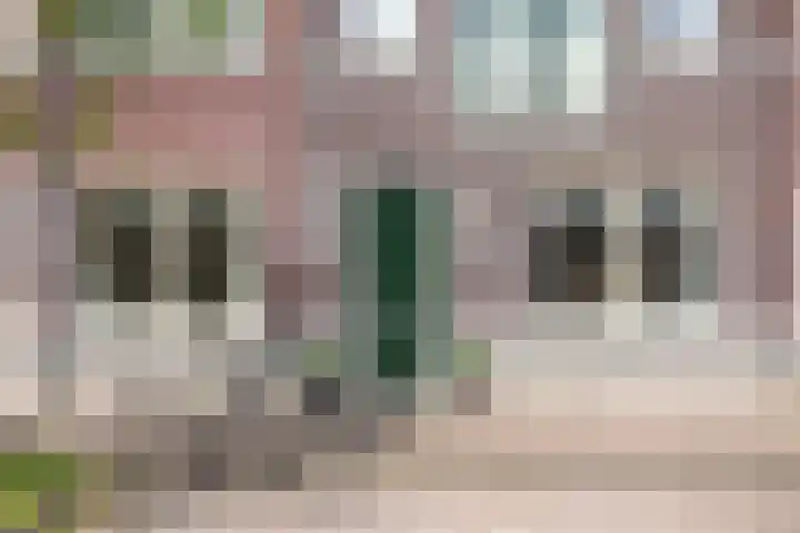 Remmerstein 1 Vleuten thumbnail 25