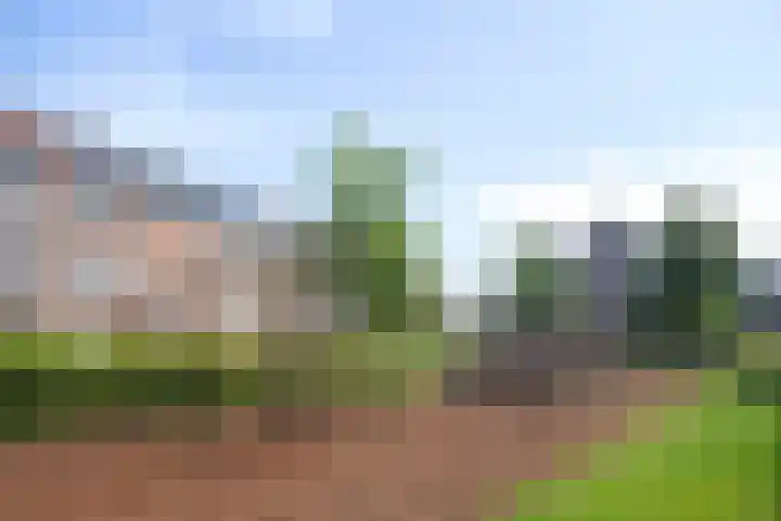Remmerstein 1 Vleuten thumbnail 26