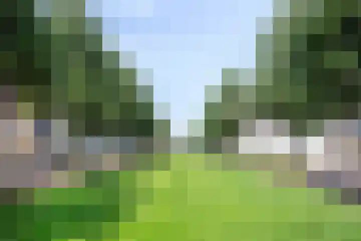 Remmerstein 1 Vleuten thumbnail 27