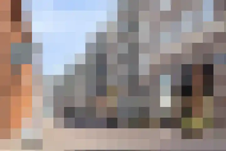 Remmerstein 1 Vleuten thumbnail 28