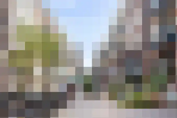 Remmerstein 1 Vleuten thumbnail 29