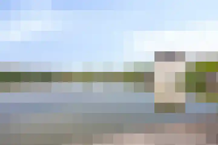 Remmerstein 1 Vleuten thumbnail 30