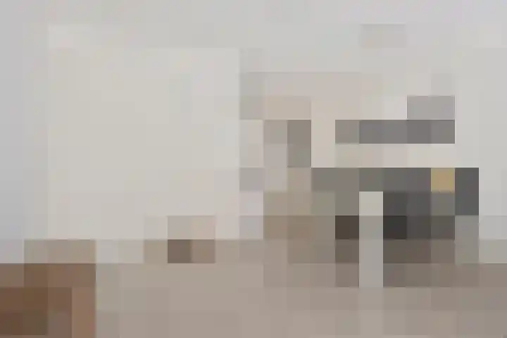 Remmerstein 1 Vleuten thumbnail 5