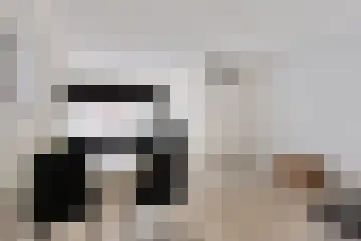 Remmerstein 1 Vleuten thumbnail 6
