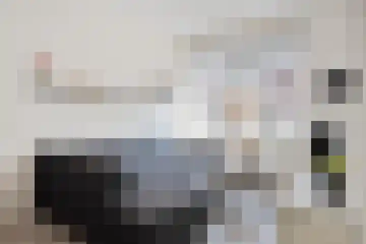 Remmerstein 1 Vleuten thumbnail 7