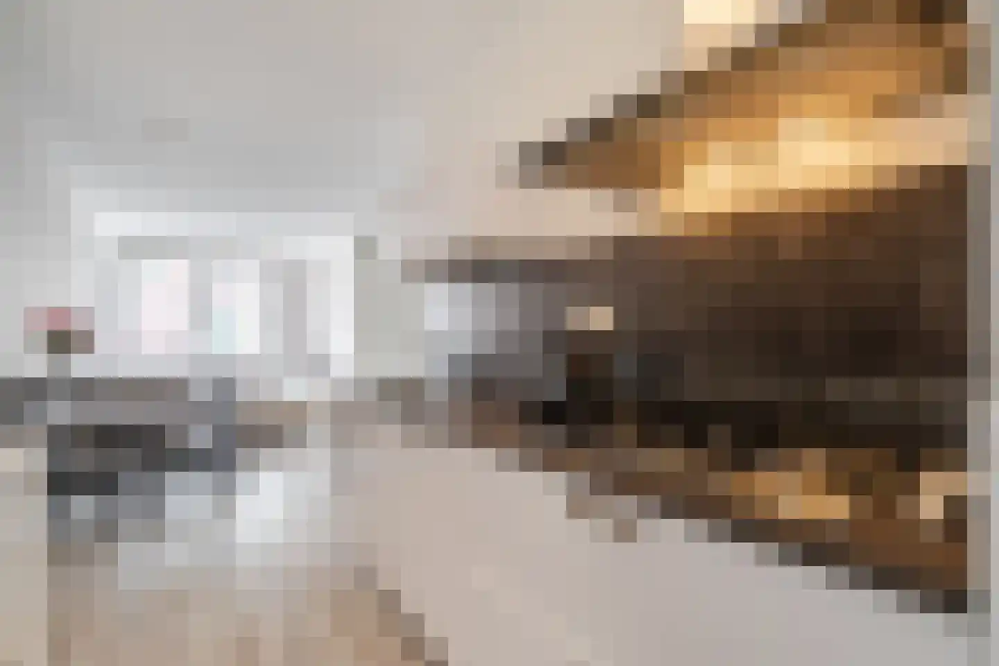 Remmerstein 1 Vleuten thumbnail 7