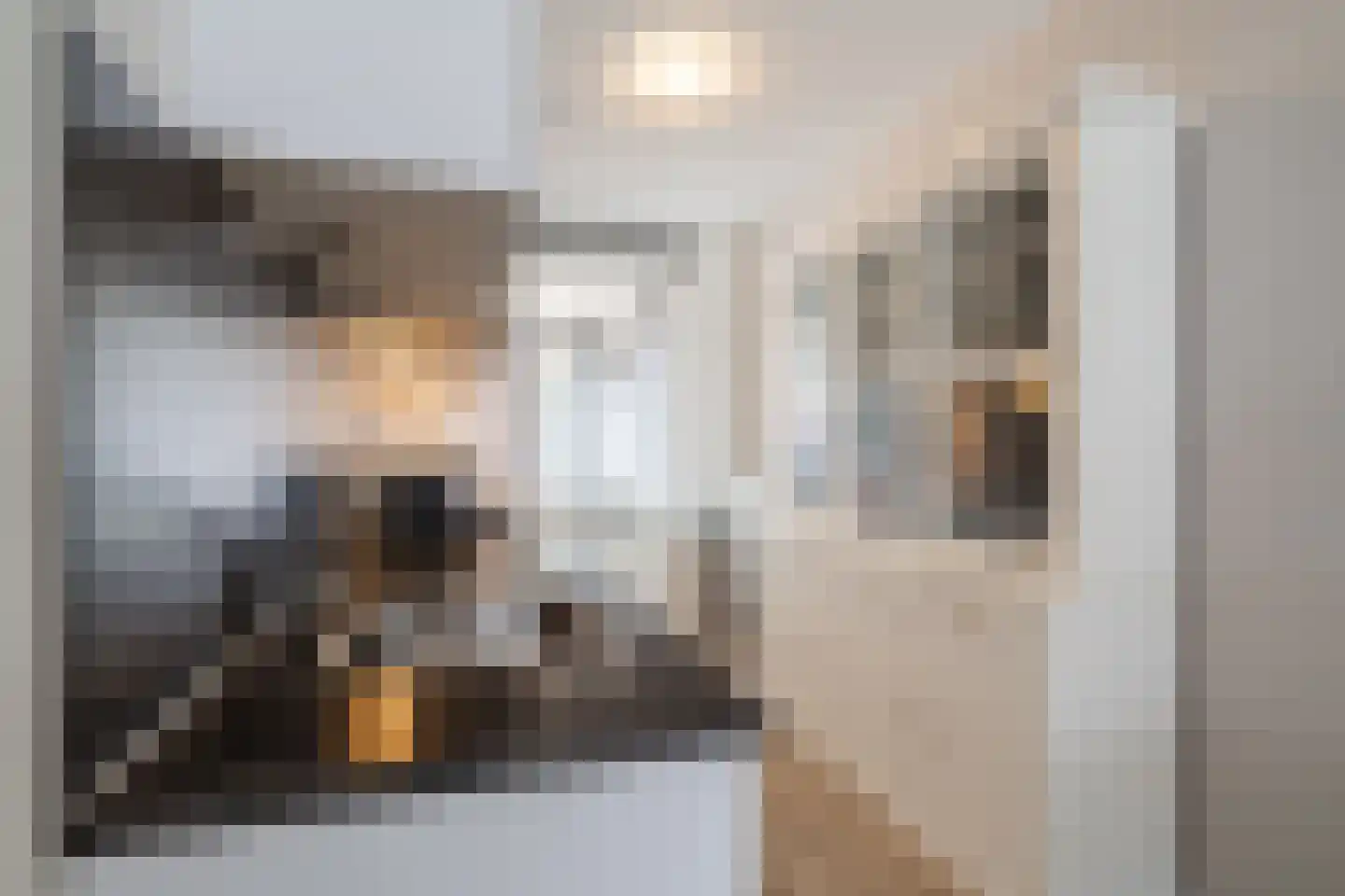 Remmerstein 1 Vleuten thumbnail 8