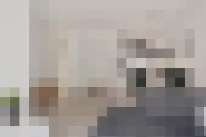 Remmerstein 1 Vleuten thumbnail 8