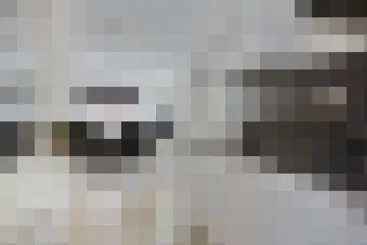 Remmerstein 1 Vleuten thumbnail 9