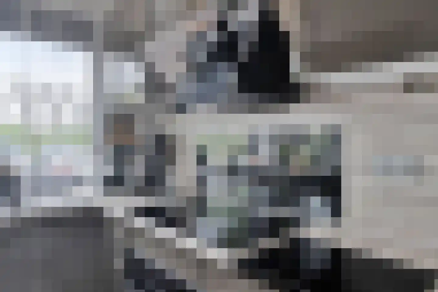Remmerstein 101 Dordrecht thumbnail 11