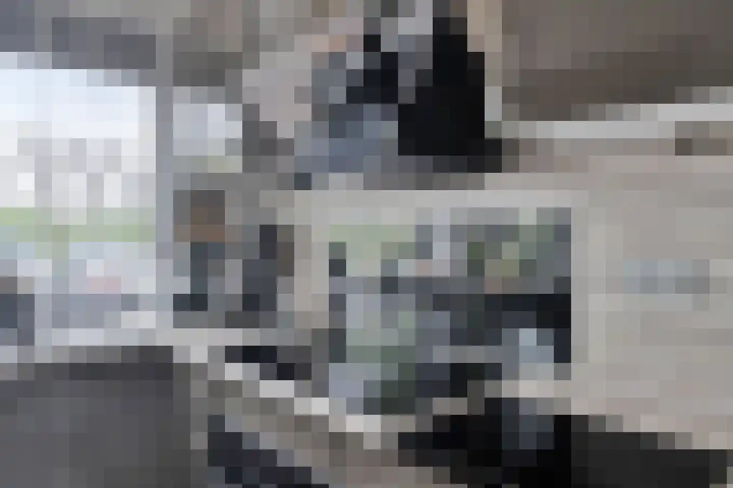 Remmerstein 101 Dordrecht thumbnail 13