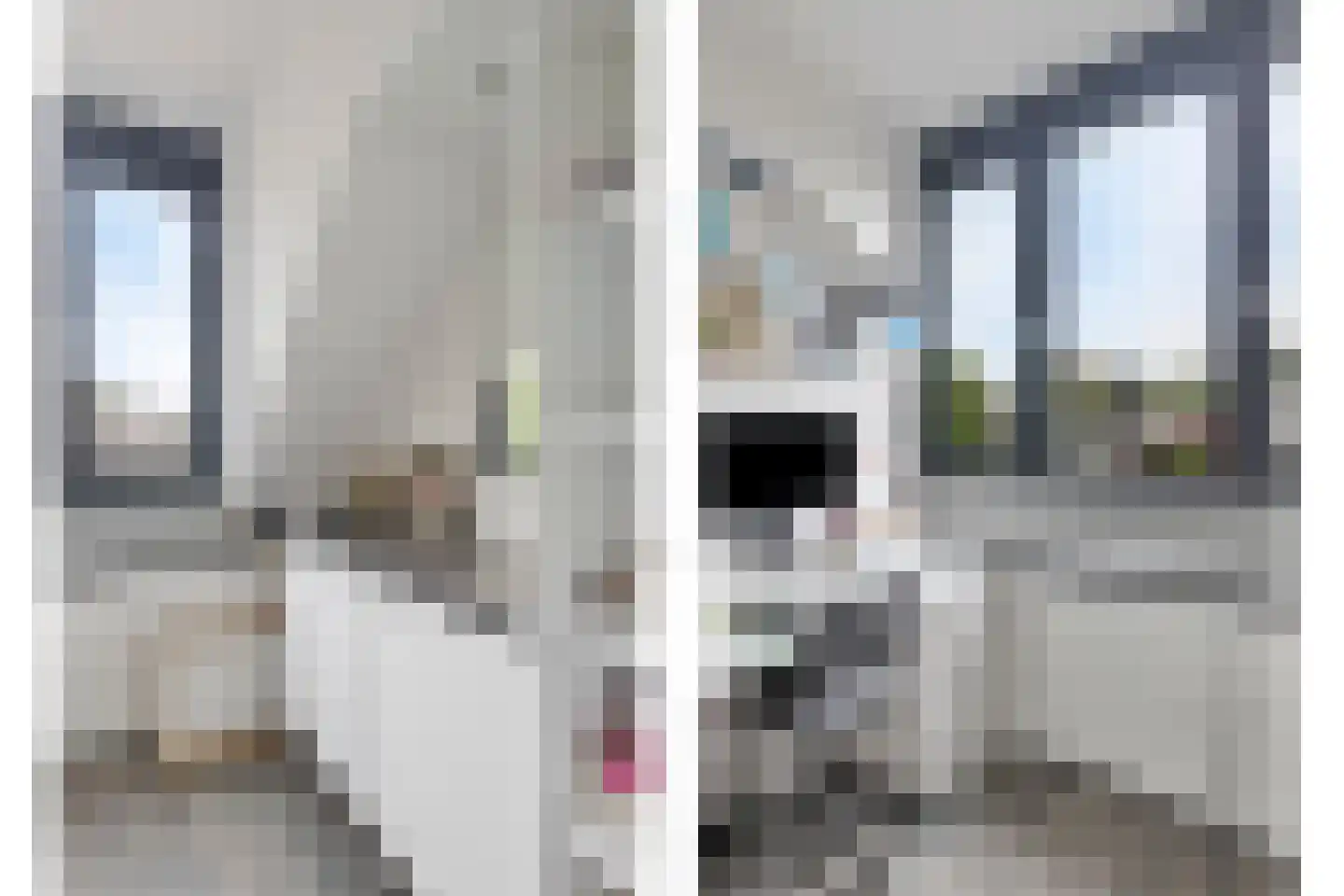 Remmerstein 101 Dordrecht thumbnail 33