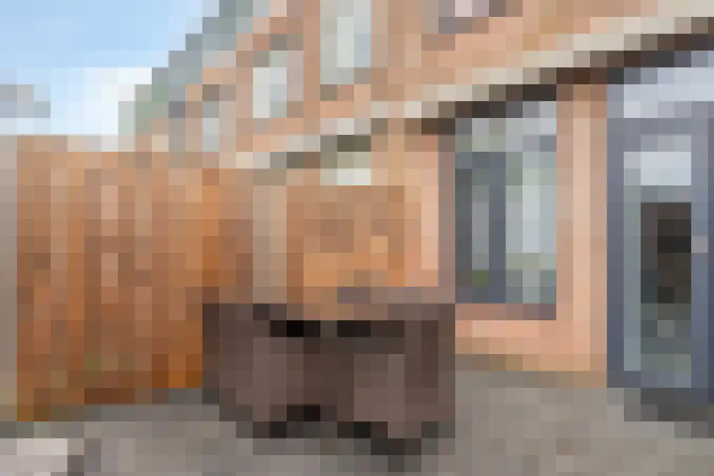 Remmerstein 101 Dordrecht thumbnail 37