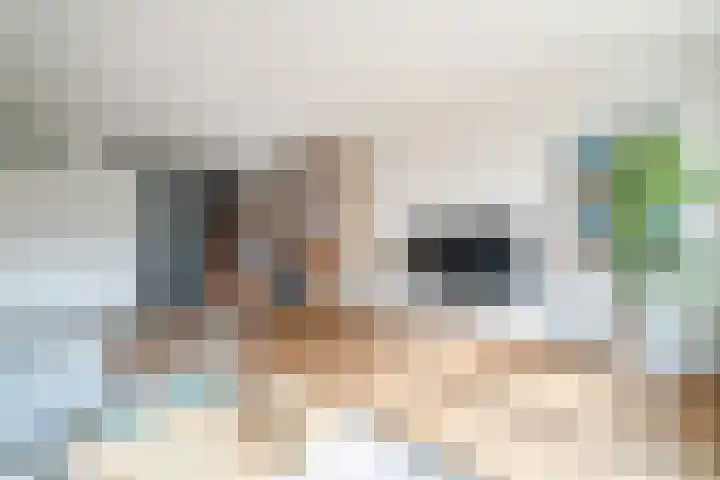 Remmerstein 18 Vleuten thumbnail 13