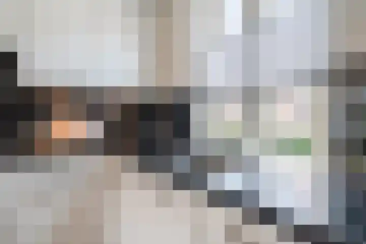 Remmerstein 18 Vleuten thumbnail 16