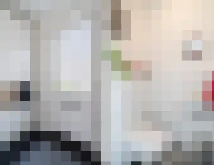 Remmerstein 18 Vleuten thumbnail 19